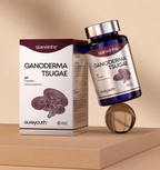 Ganoderma Tsugae